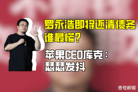 哈尔滨哈尔滨的要账公司在催收过程中的策略和技巧有哪些？